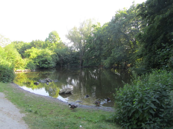 Teich im Holzbendenpark