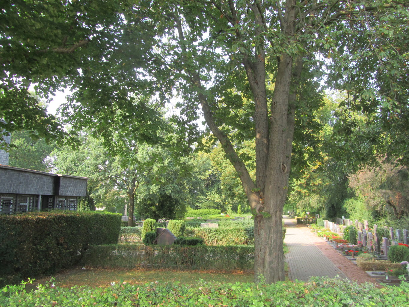 Friedhof Derichsweiler