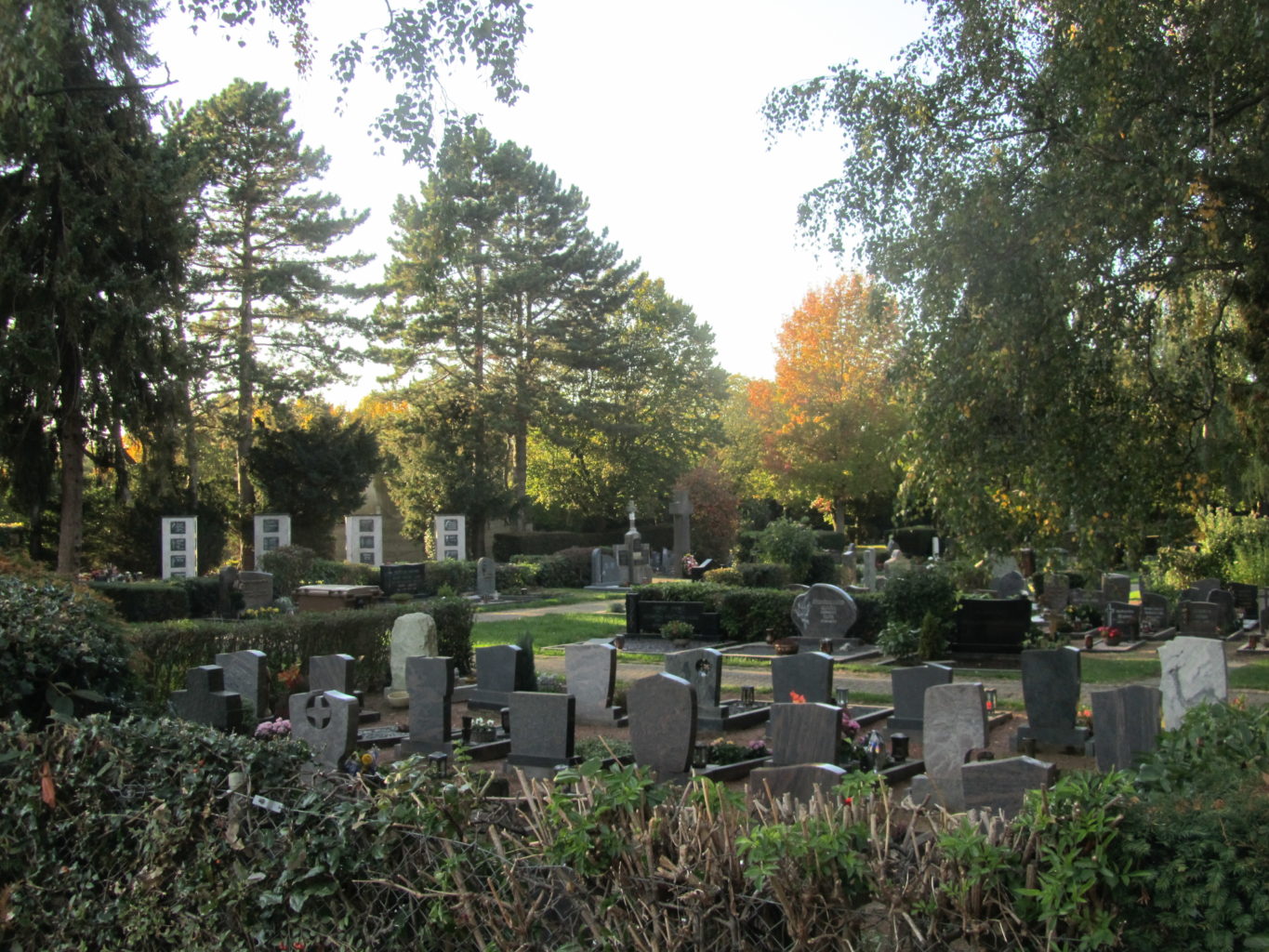 Friedhof in Merken