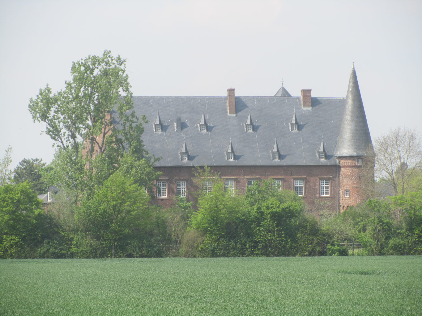 Burg Binsfeld
