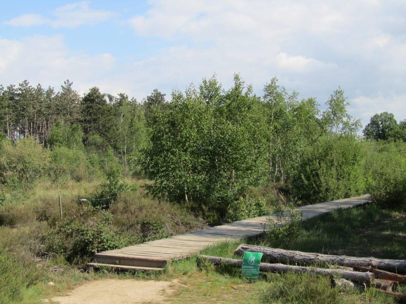 Holzweg in der Drover Heide