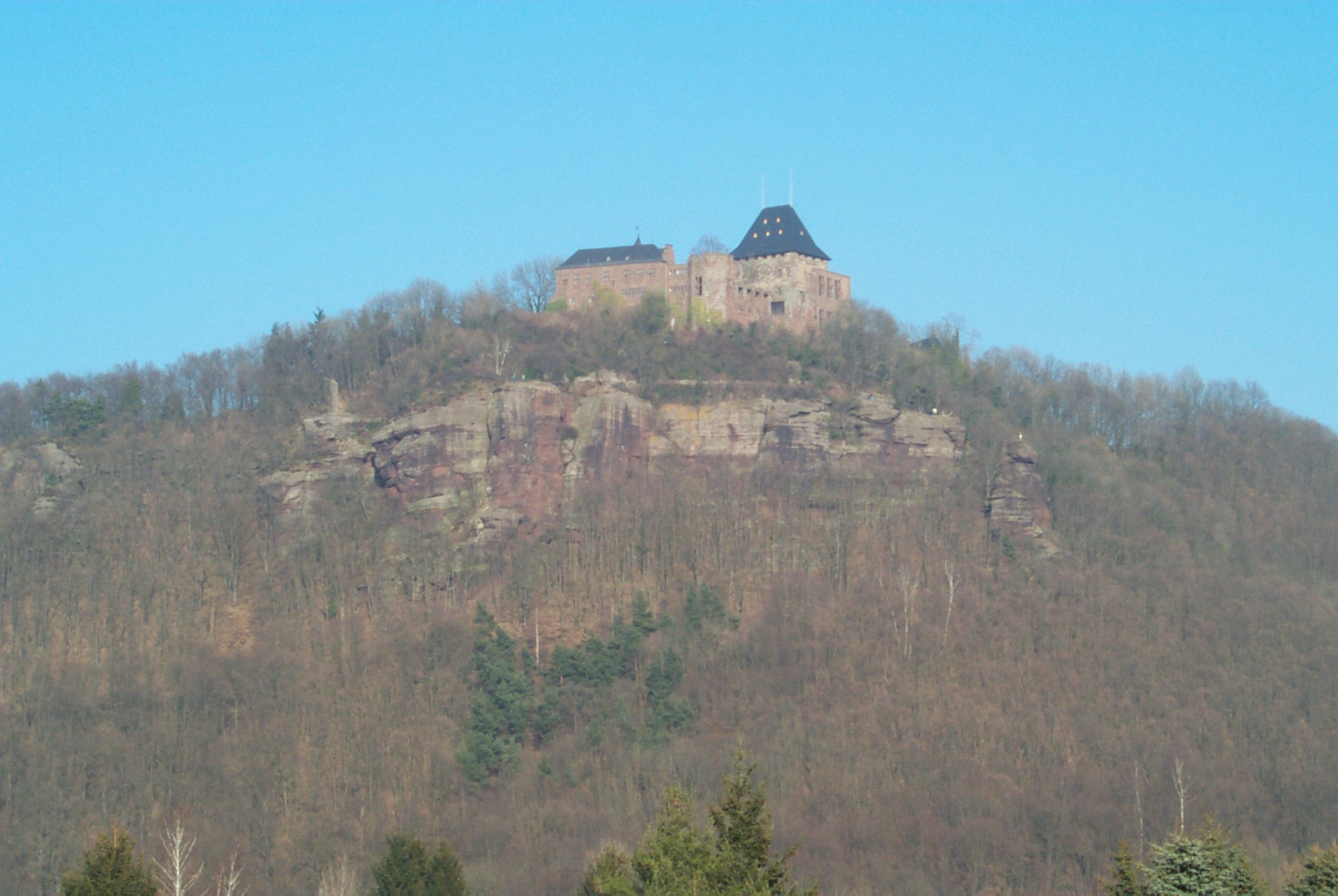 Burg Nideggen mit Buntsandsteinfelsen