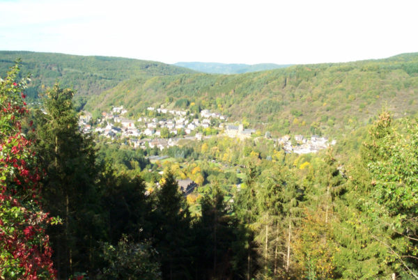 Blick auf Heimbach