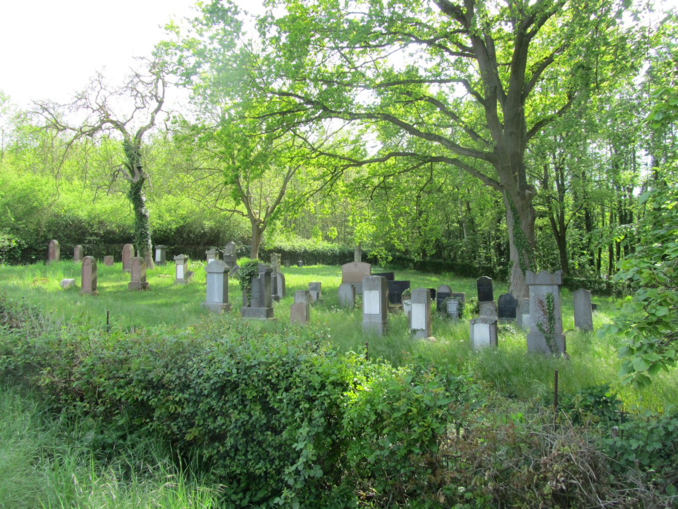 Jüdischer Friedhof Drove