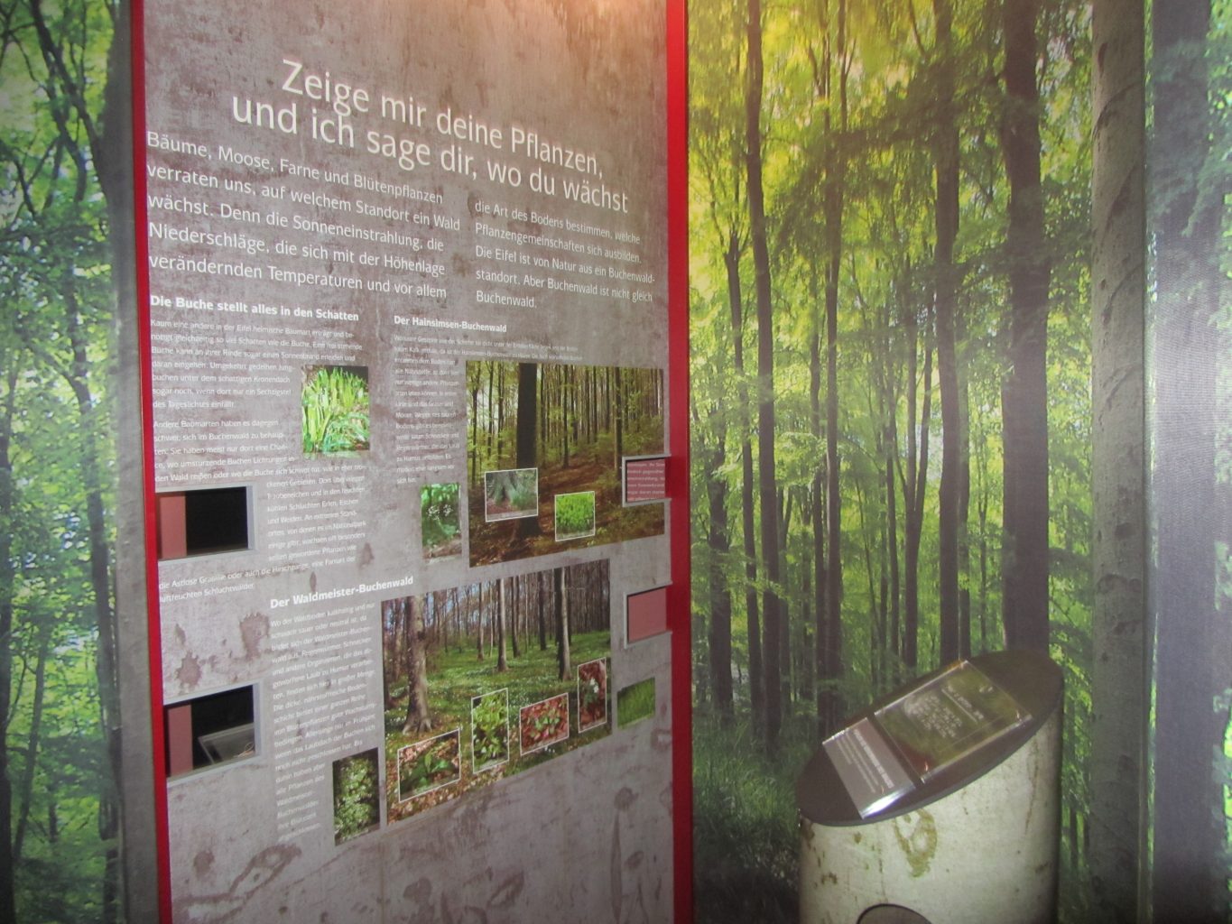 Nationalpark-Tor Heimbach Ausstellung Waldgeheimnisse